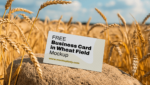 FREE Business Card in Wheat Field Mockup