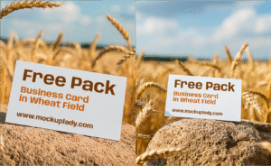 FREE PACK Business Card in Wheat Field